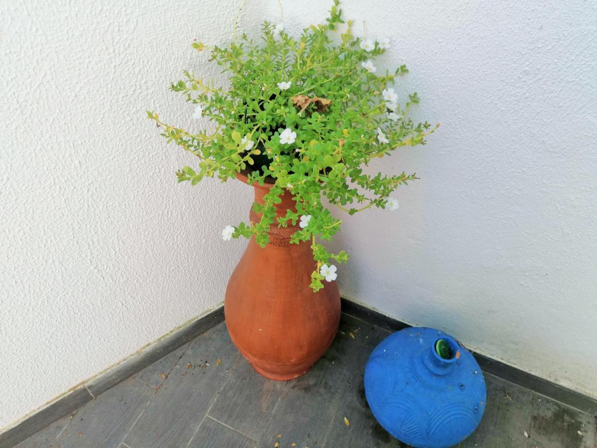 Lilac Homestay Setubal Bagian luar foto